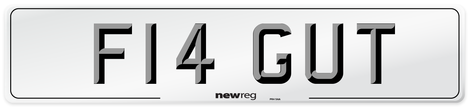 F14 GUT Number Plate from New Reg